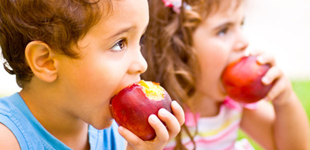 Manual de alimentação saudável: crianças não devem comer bolachas e doces