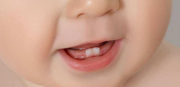 Quando aparecem os primeiros dentes do bebé?
