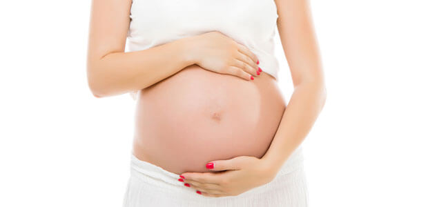 4º Mês da gravidez: assemelha-se a um recém-nascido