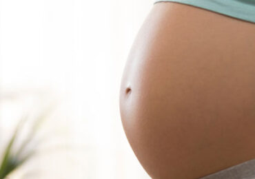7 e 8 Semanas da gravidez – desenvolvimento embrionário