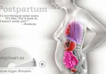 Como se transforma o corpo na gravidez – video impressionante!