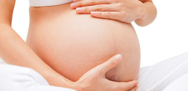 desenvolvimento do bebé no ventre
