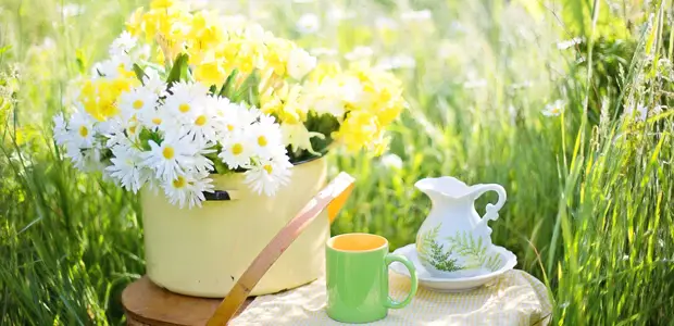 Chá de camomila: benefícios para a saúde