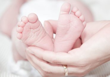 De embrião a feto: as primeiras semanas da gravidez