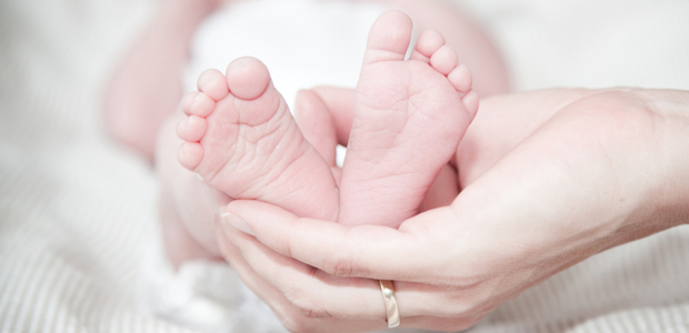De embrião a feto: as primeiras semanas da gravidez