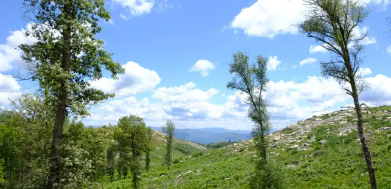 Serra da Cabreira: o que fazer com os miúdos