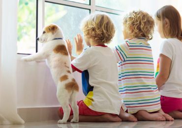 Ter cão beneficia as crianças em idade pré-escolar