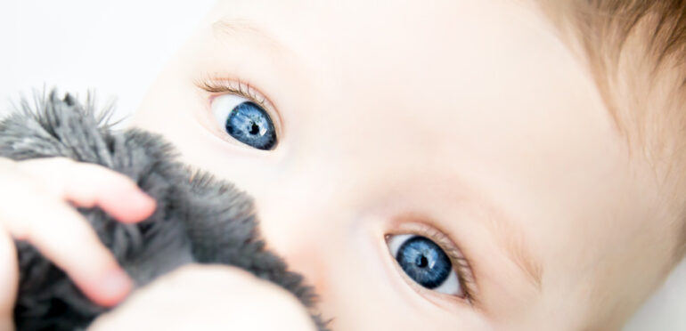 Porque têm quase todos os bebés olhos cinzentos?