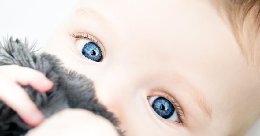 Porque têm quase todos os bebés olhos cinzentos?