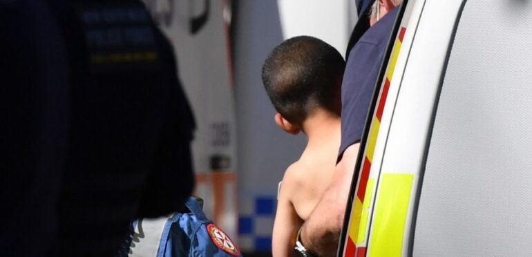 Menino autista sobreviveu três dias sozinho no mato australiano