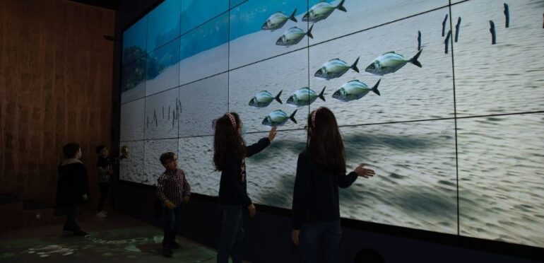 Aquário Vasco da Gama abre sala interativa para receber mais visitas de crianças