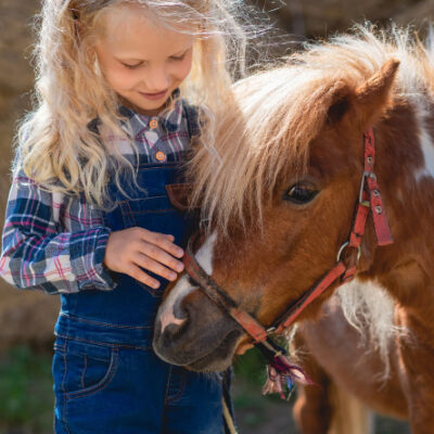 HOTEIS-COM-ANIMAIS Hotéis e turismos rurais com animais
